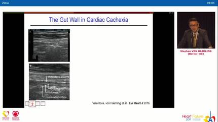 Presentation thumbnail