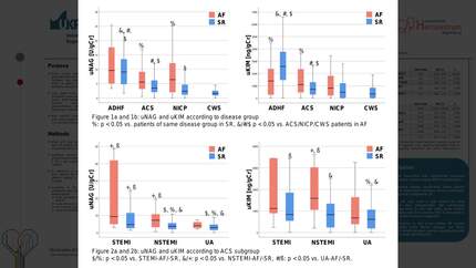 N-acetyl-beta-D-glucosaminidase and kidney injury molecule 1: detection of potential tubular injury in atrial fibrillation