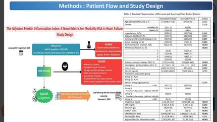 Presentation thumbnail