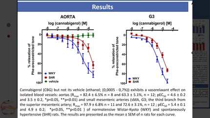 Presentation thumbnail