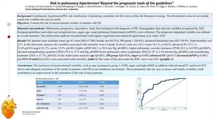 Risk in pulmonary hypertension ''beyond the prognostic tools of the guidelines"