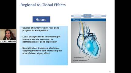Presentation thumbnail