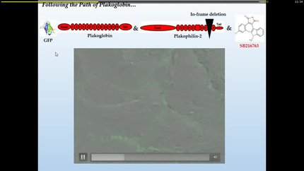 Presentation thumbnail