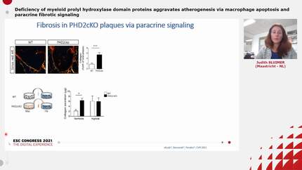 Presentation thumbnail