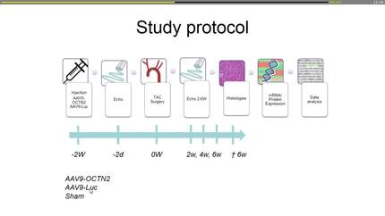 Presentation thumbnail