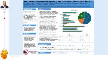 Presentation thumbnail