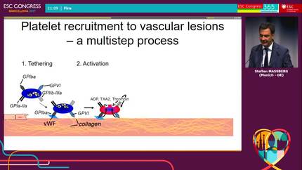 Presentation thumbnail