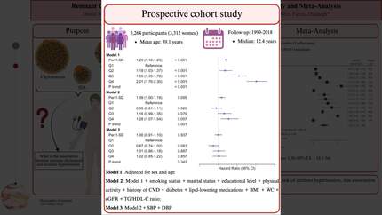 Remnant cholesterol and risk of hypertension: a prospective cohort study and meta-analysis
