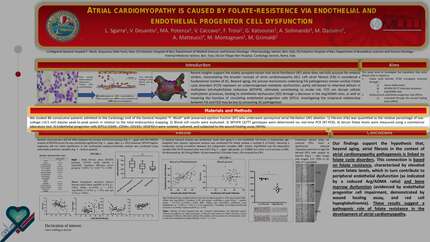 Atrial cardiomyopathy is caused by folate-resistence via endothelial and endothelial progenitor cell dysfunction