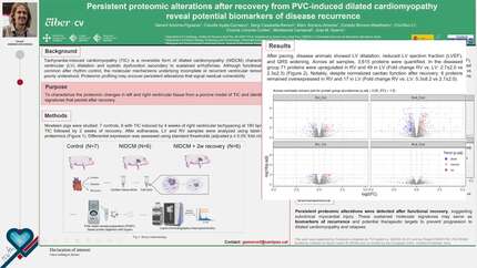 Presentation thumbnail