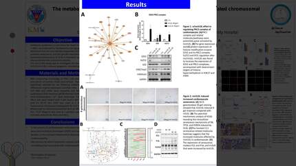 VLDL induces EZH2/PRC2 complex-mediated cellular senescence in metabolic syndrome to enhance cardiotoxicity