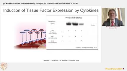 Presentation thumbnail