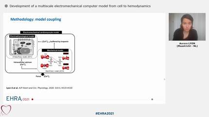 Development of a multiscale electromechanical computer model from cell to hemodynamics