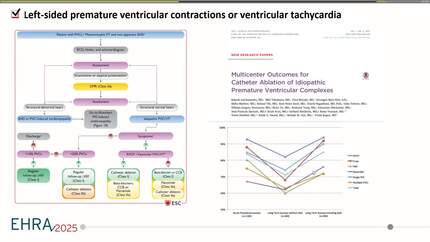 Left ventricular summit ablation: the role of the imaging