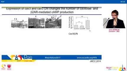 Presentation thumbnail