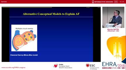 Models of functional reentry and fibrillation