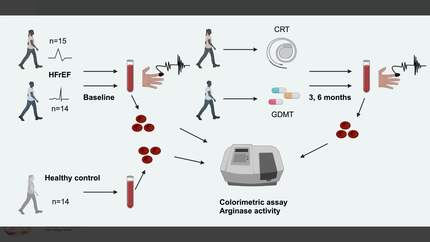 Presentation thumbnail
