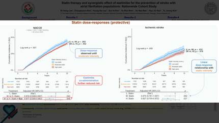 Presentation thumbnail