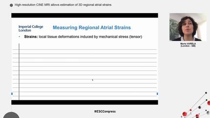 High-resolution CINE MRI allows estimation of 3D regional atrial strains