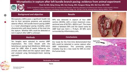 Presentation thumbnail