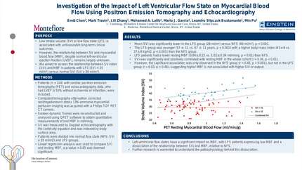Assessment of impact of left ventricular flow state on myocardial blood flow using positron emission tomography and echocardiography