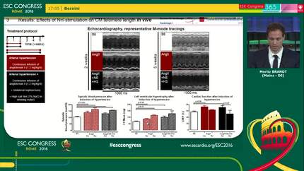 Effects of neurohormonal stimulation on cardiomyocyte telomere length and effects on cellular function