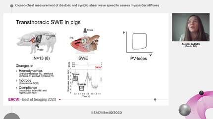 Presentation thumbnail