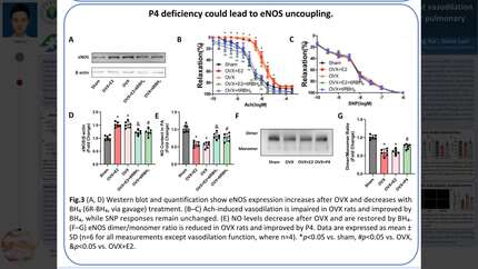 Presentation thumbnail