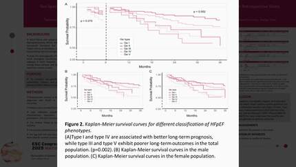 Presentation thumbnail