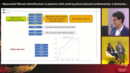 Myocardial fibrosis identification in patients with anthracycline-induced cardiotoxicity: a biomarkers and cardiac magnetic resonance correlation