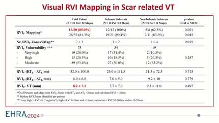 Identification of reentry vulnerable targets during substrate mapping for ablation in scar related VT: the "visual" reentry vulnerability index