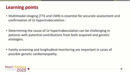 LV excessive trabeculation and CKD on hemodialysis: a non-compaction trace or LVNC?