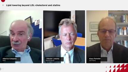 Lipid lowering beyond LDL-cholesterol and statins 