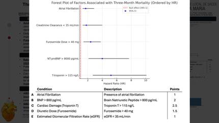 The ABCDE score: a simple tool for predicting 3 month mortality in acute heart failure patients