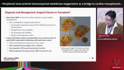 Presentation thumbnail