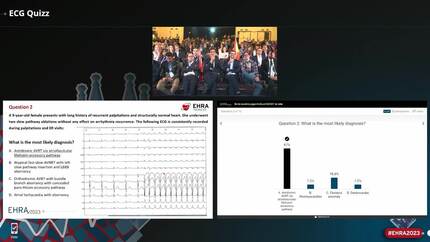 Presentation thumbnail