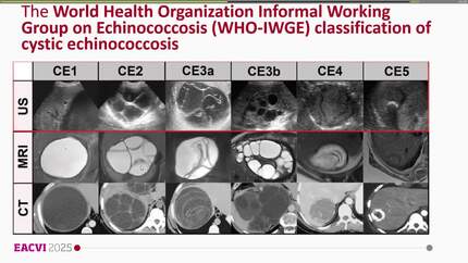 Presentation thumbnail