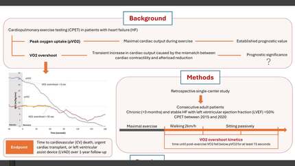 Presentation thumbnail