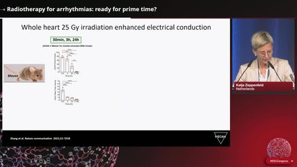 Presentation thumbnail