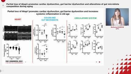 Presentation thumbnail