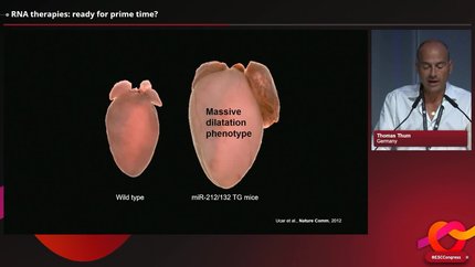 Presentation thumbnail