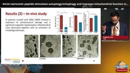 Atrial natriuretic peptide stimulates autophagy/mitophagy and improves mitochondrial function in chronic heart failure