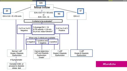 Echocardiographic Estimation of Left FIlling Pressures