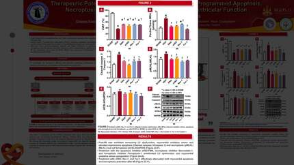 Therapeutic potential of pharmacological inhibition of programmed apoptosis, necroptosis, and ferroptosis in improving left ventricular function in post-myocardial infarction rats