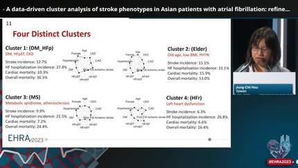A data-driven cluster analysis of stroke phenotypes in Asian patients with atrial fibrillation: refinement of the CHA2DS2-VASc score