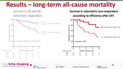 Pressure-volume analysis by three-dimensional echocardiography: a novel and superior method to predict response following cardiac resynchronization therapy