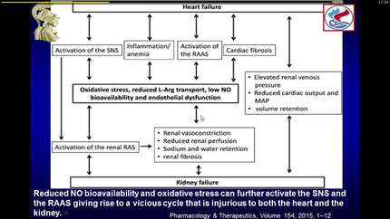 The endothelium in heart failure.