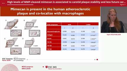 High levels of MMP-cleaved mimecan is associated to carotid plaque stability and less future cardiovascular events