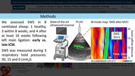 Presentation thumbnail