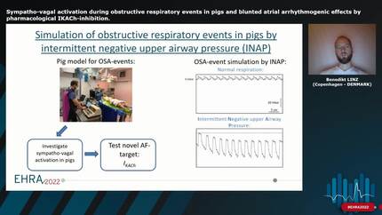 Sympatho-vagal activation during obstructive respiratory events in pigs and blunted atrial arrhythmogenic effects by pharmacological IKACh-inhibition.